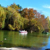 Осенний  пейзаж :: Валентин Семчишин