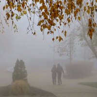 Осень спряталась в густом тумане :: Татьяна Смоляниченко Осень спряталась в густом тумане :: Татьяна Смоляниченко