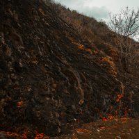 Остывшие вулканы :: Олег Загорулько