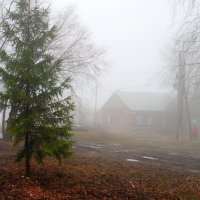 Про гноябрь унылый... :: Андрей Заломленков