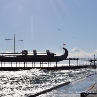 Природа Крыма :: Amazing Cosmea