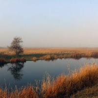 Река Кагальник. :: Александр 