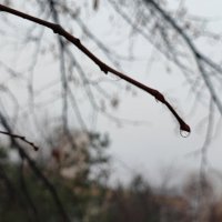 ,,, :: Сергей Тимоновский