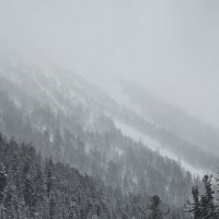 Алтай. зимой :: Александр Чибисов