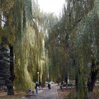 *** :: Валентина Береснева