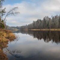 **** :: Елизавета .