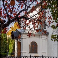 Под ветвями... :: Максим Сорокин