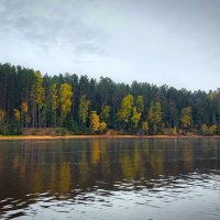 Осень на реке Себла :: Николай Дергачев