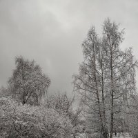 Снег :: Андрей 