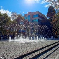 Адлер :: Нина Бутко