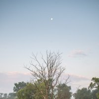 Раннее утро :: Владимир Иванович