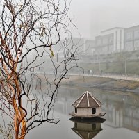 Ростовские зарисовки :: Александр Гапоненко