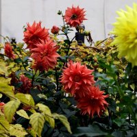 *** :: Павленко Михаил *** :: Павленко Михаил