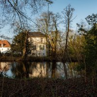 *** :: Николай Гирш