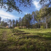 б.н. :: Николай 