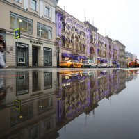 Петровка 24 ноября :: Михаил Бибичков