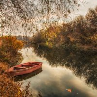 Осенняя мелодия :: Ирина 