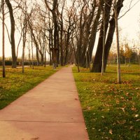 Дубовая алея. :: Юрий Полторыхин.