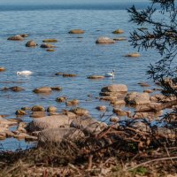 *** :: Геннадий Порохов