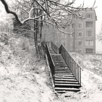 *** :: Сергей Григорьев