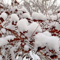 Безветрие, 0 градусов, хорошо ! :: Лия ☼