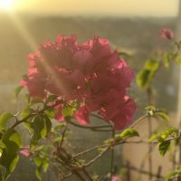 Рассвет :: Alexey YakovLev Рассвет :: Alexey YakovLev