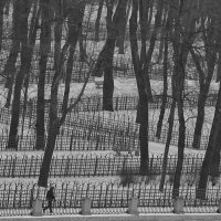 Спб :: Виктория Поликарпова