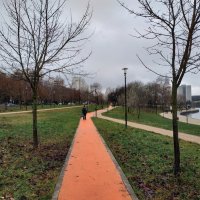 Ноябрь как он есть :: Андрей Лукьянов