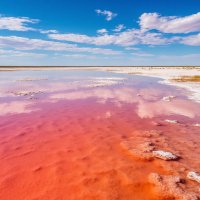 Солёное озеро Эльтон :: Ольга Солёное озеро Эльтон :: Ольга