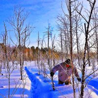 Я в роли...снегомера! :: Владимир 