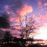 Ноябрьский вечер :: Людмила Смородинская Ноябрьский вечер :: Людмила Смородинская