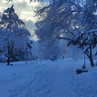 Утро в зимнем парке :: Татьяна Лютаева Утро в зимнем парке :: Татьяна Лютаева