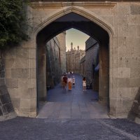 Воронцовский дворец :: skijumper Иванов