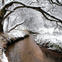 Природа в конце осени, :: Милешкин Владимир Алексеевич Природа в конце осени, :: Милешкин Владимир Алексеевич
