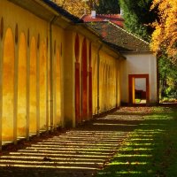 Утро ноября :: Юрий. Шмаков