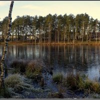 *** :: Aleksandr Gal