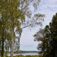 МИХАЙЛОВСКОЕ. :: Виктор Осипчук