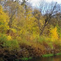 Ноябрь :: Рита Симонова