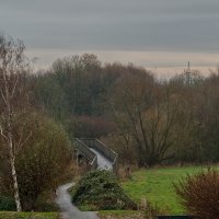 Пасмурное утро ... :: Jakob Dick