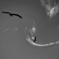 ----Freedom and more :: AL Reborn 