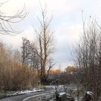 Эх, дороги... :: Наталья Герасимова