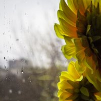 Осень :: Тамара Федорова