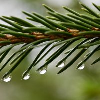 Отражения :: Вадим 