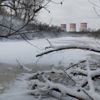 После снегопада!!! :: Радмир Арсеньев