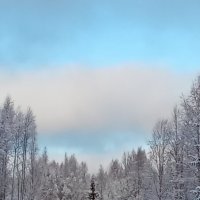 Снежный день :: Ольга Попова (popova/j2011)