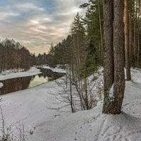 Зима . :: Александр Иванович Шитов