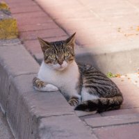 Философ :: Максим 