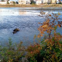 Адлер :: Нина Бутко