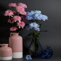 Цветочное настроение :: Виктория 