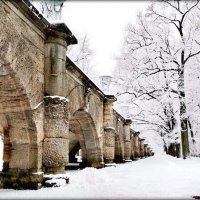 Утром выпал снег ... :: Сергей Утром выпал снег ... :: Сергей